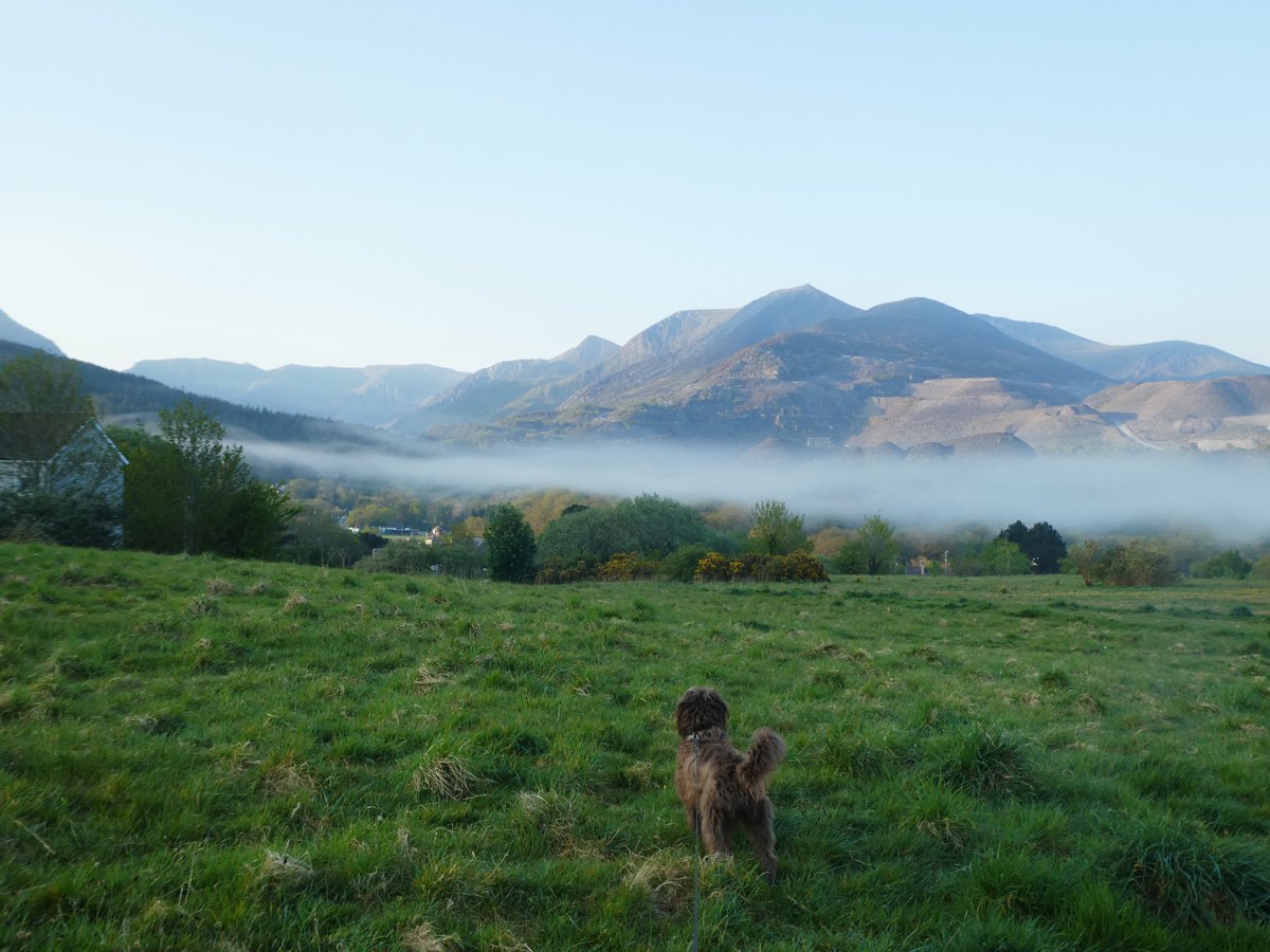 julietgreenwood's tweet image. Mist over the valley on the early morning dog walk .... #Eryri #Snowdonia #amwriting