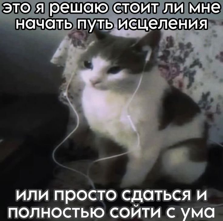 морó 🎧 lover girl tweet media