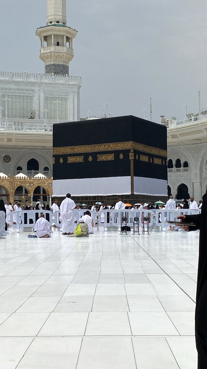 جُونالي tweet media