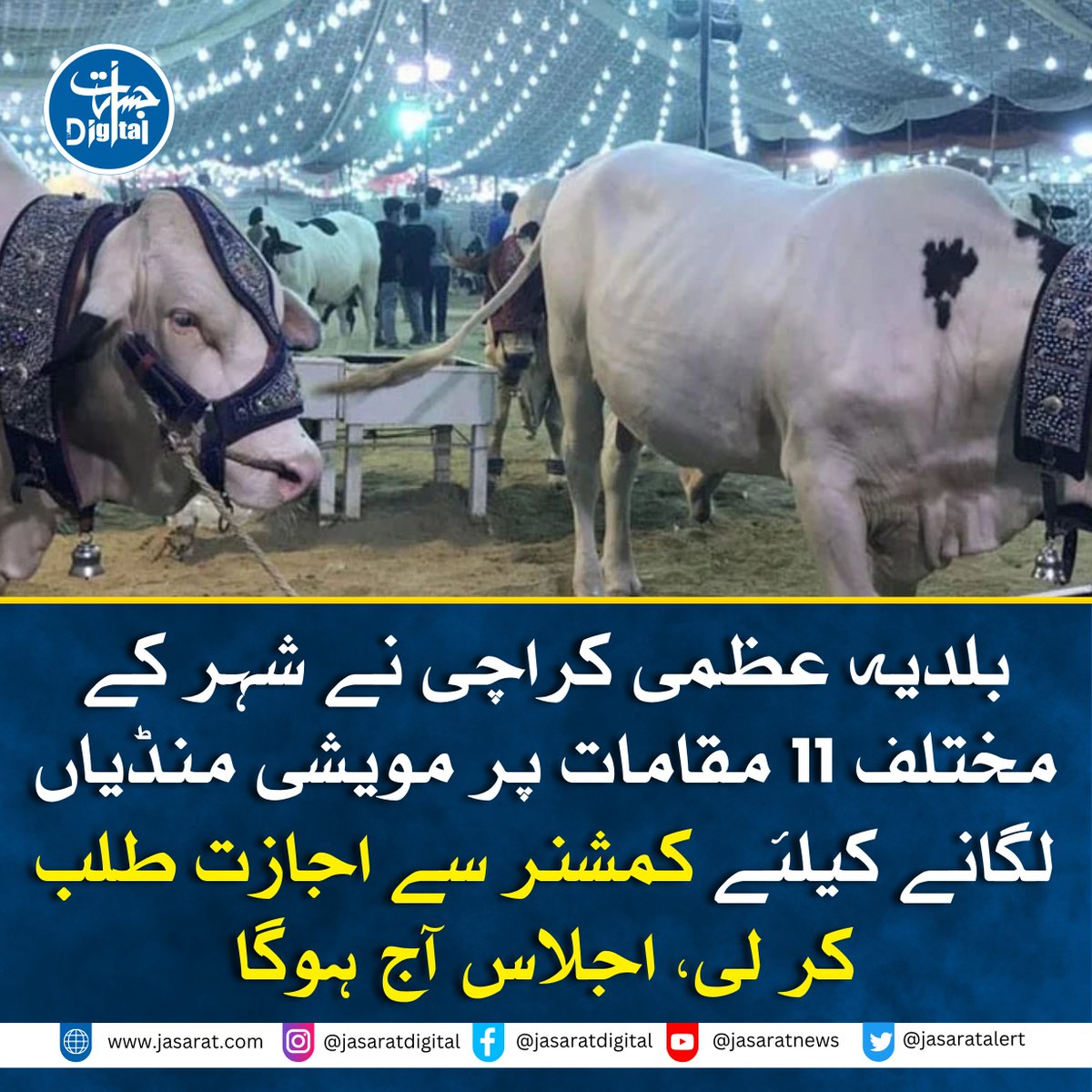 JasaratDigital's tweet image. بلدیہ عظمیٰ کراچی نے کمشنر کراچی سے شہر میں 11 مقامات پر مویشی منڈیوں کے قیام کی اجازت طلب کرلی ہے۔ کمشنر کراچی کی زیر صدارت آج اس حوالے سے اہم اجلاس منعقد ہوگا جس میں غیر قانونی مویشی منڈیوں کے خاتمے سمیت مختلف انتظامی امور پر غور کیا جائے گا۔
#CattleMandi #Eid #JasaratDigital