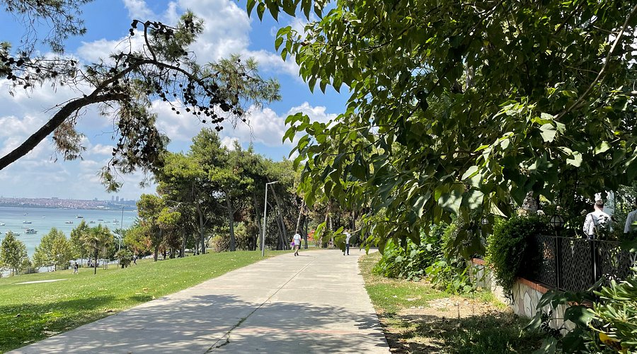 diyarname1's tweet image. Çavdêrî 

⬇️
diyarname.com/nivis/cavderi_… 

#Çavdêrî #Ger #Seyran #Nivîs #Gotar #Qunciknivîskar #DilşêrBêwar @dilser_bewar