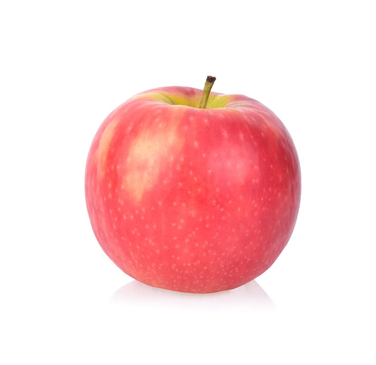 laurie ౨ৎ tweet media