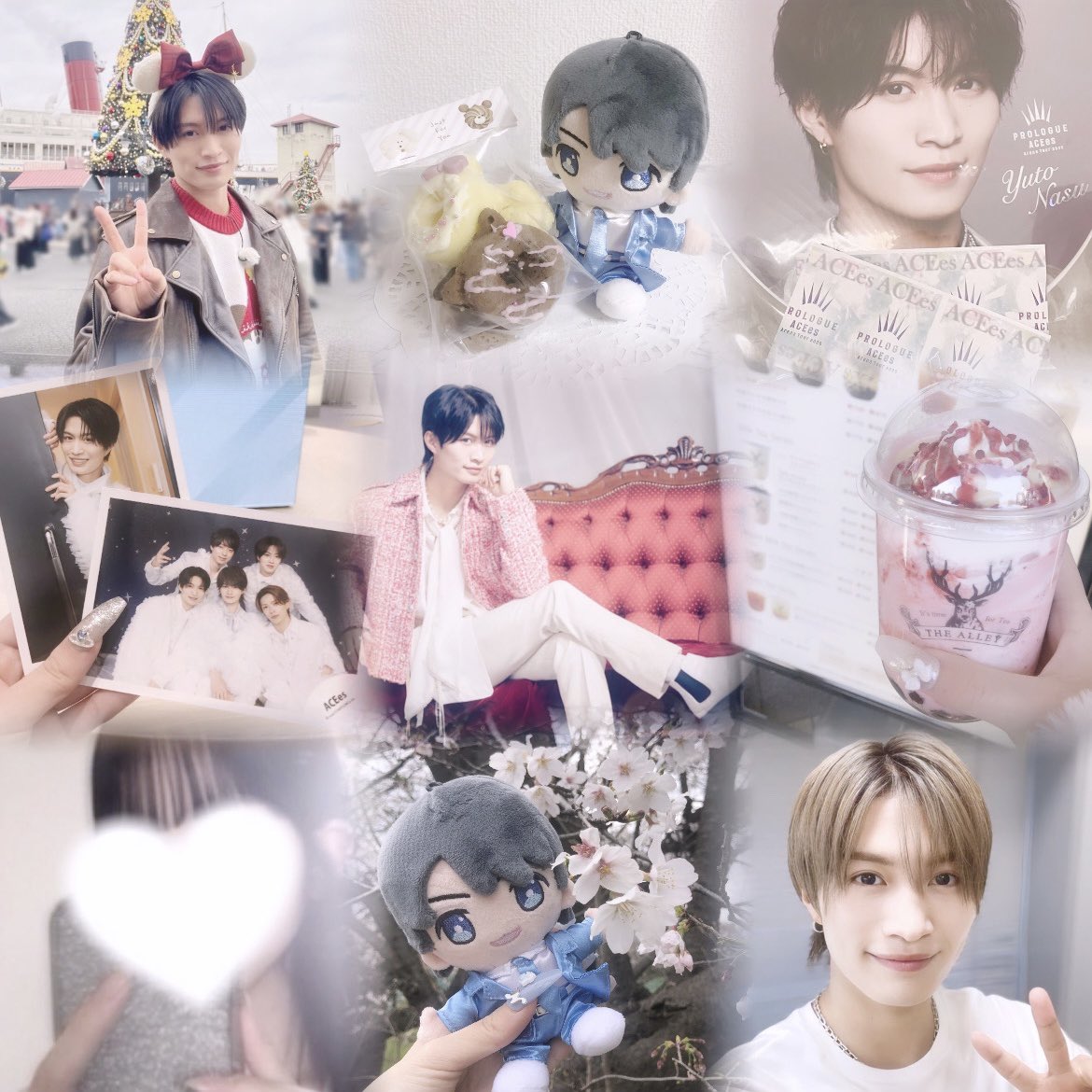 ぎゅーたん💙 tweet media