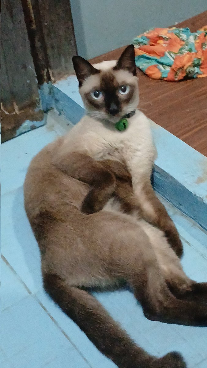 bebeluck tweet media