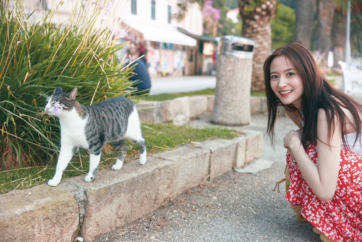 モデルプレス tweet media