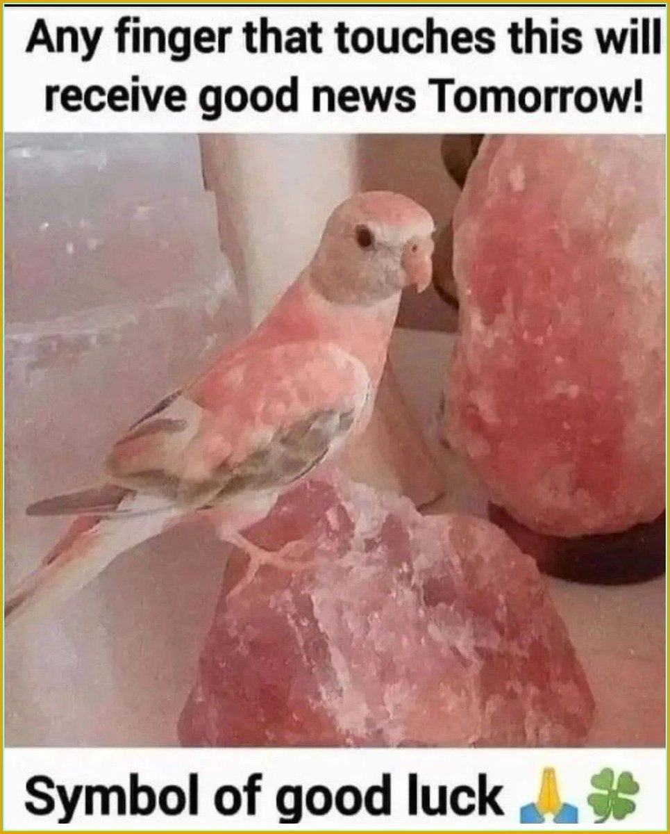 Law Of Attraction Coach tweet media