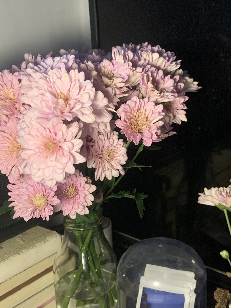 Sachie ✶ tweet media