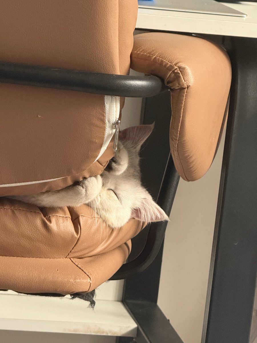 偷窥妈妈，但是不小心睡着了🐱