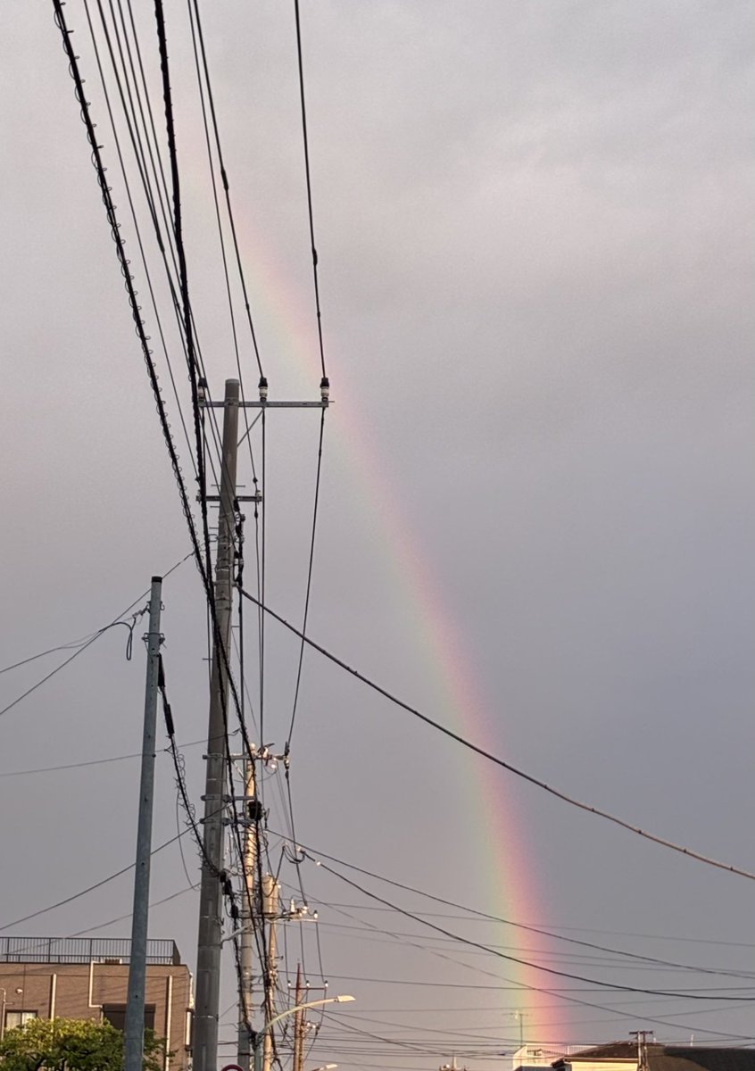 ykp69's tweet photo. 仕事やる気 完全ゼロになり散歩にでたら
虹が!🌈
I saw the rainbow
「雨の弓」と書く この虹が心に立つなら
なんかやる気出てきたぞー
からあげくんも買ったし
あと2山くらいがんばろう✨🚀
▼ レインボー / Scudelia Electro
https://t.co/AORXGtLzkj
#ScudeliaElectro #レインボー https://t.co/pdUsefvLZo