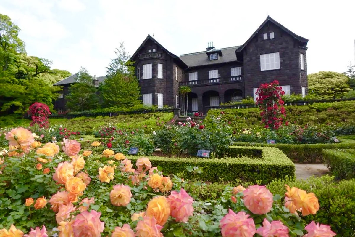 極上の旅図鑑 tweet media