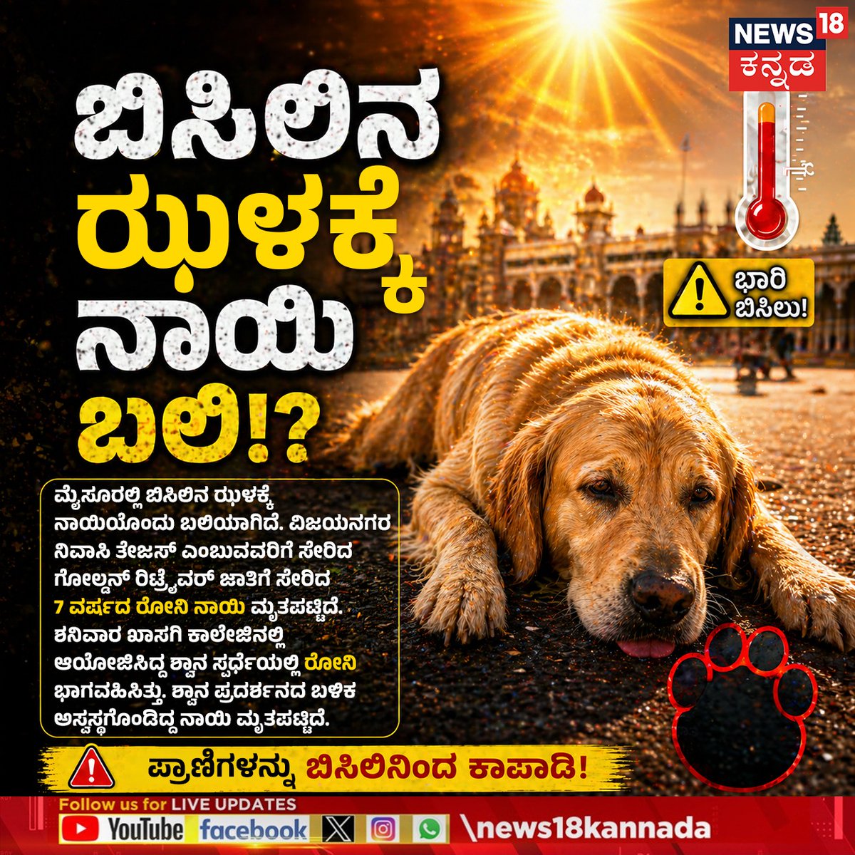 News18Kannada's tweet image. Heat Wave Effect | ಬಿಸಿಲಿನ ಝಳಕ್ಕೆ ನಾಯಿ ಬಲಿ!?

#News18Kannada #HeatWaveEffect #Mysuru