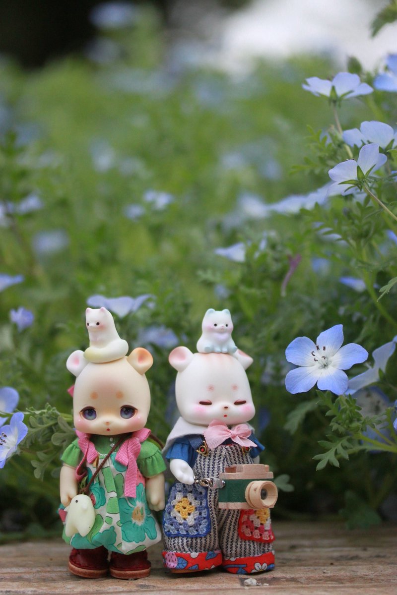 ネモフィラかわいいね
#kumukuku