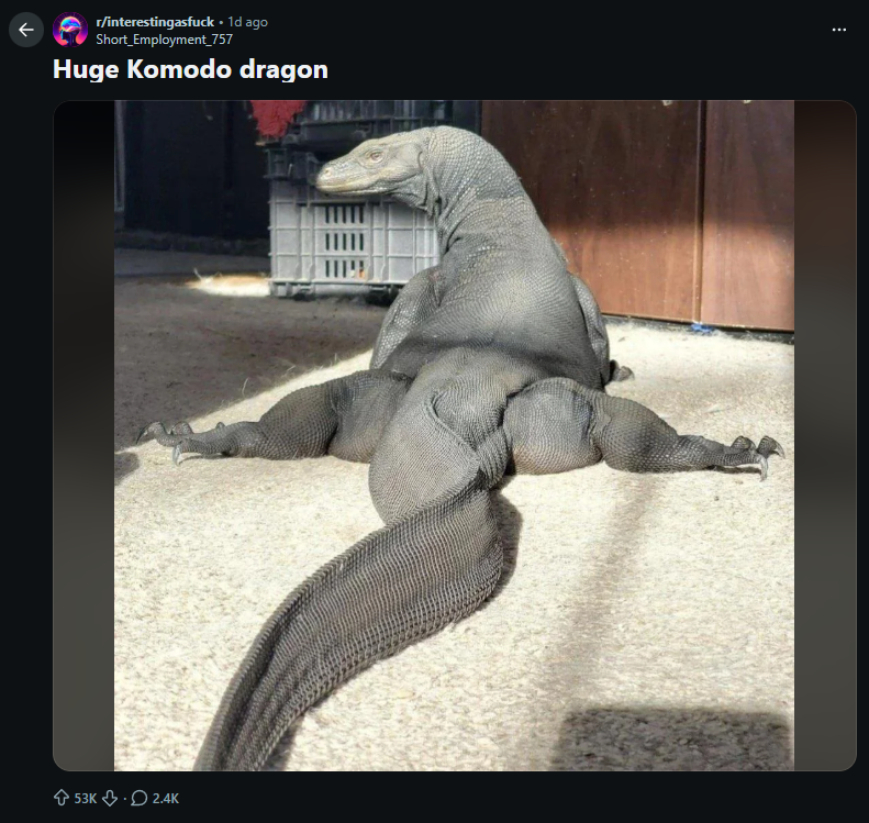 Chief Keef tweet media