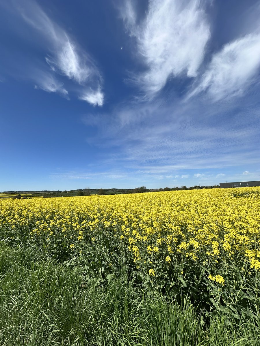 Emil Antonov tweet media