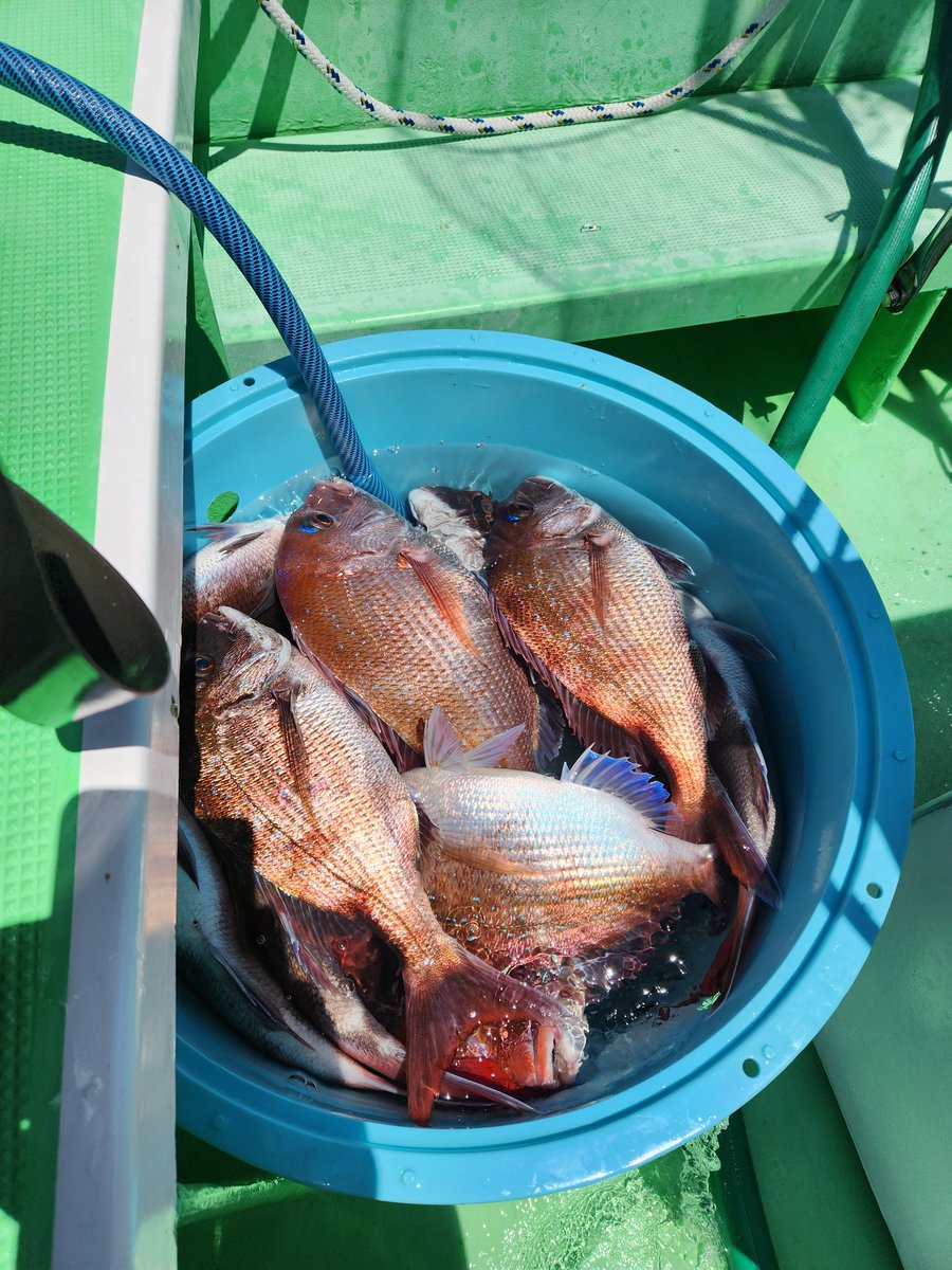 松本圭一 tweet media