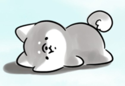 ひさき🎣 tweet media