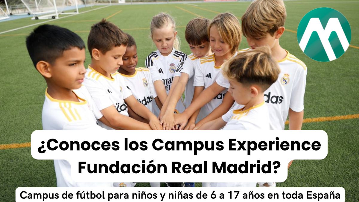 Campamentum tweet media