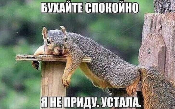 hunk anc tweet media