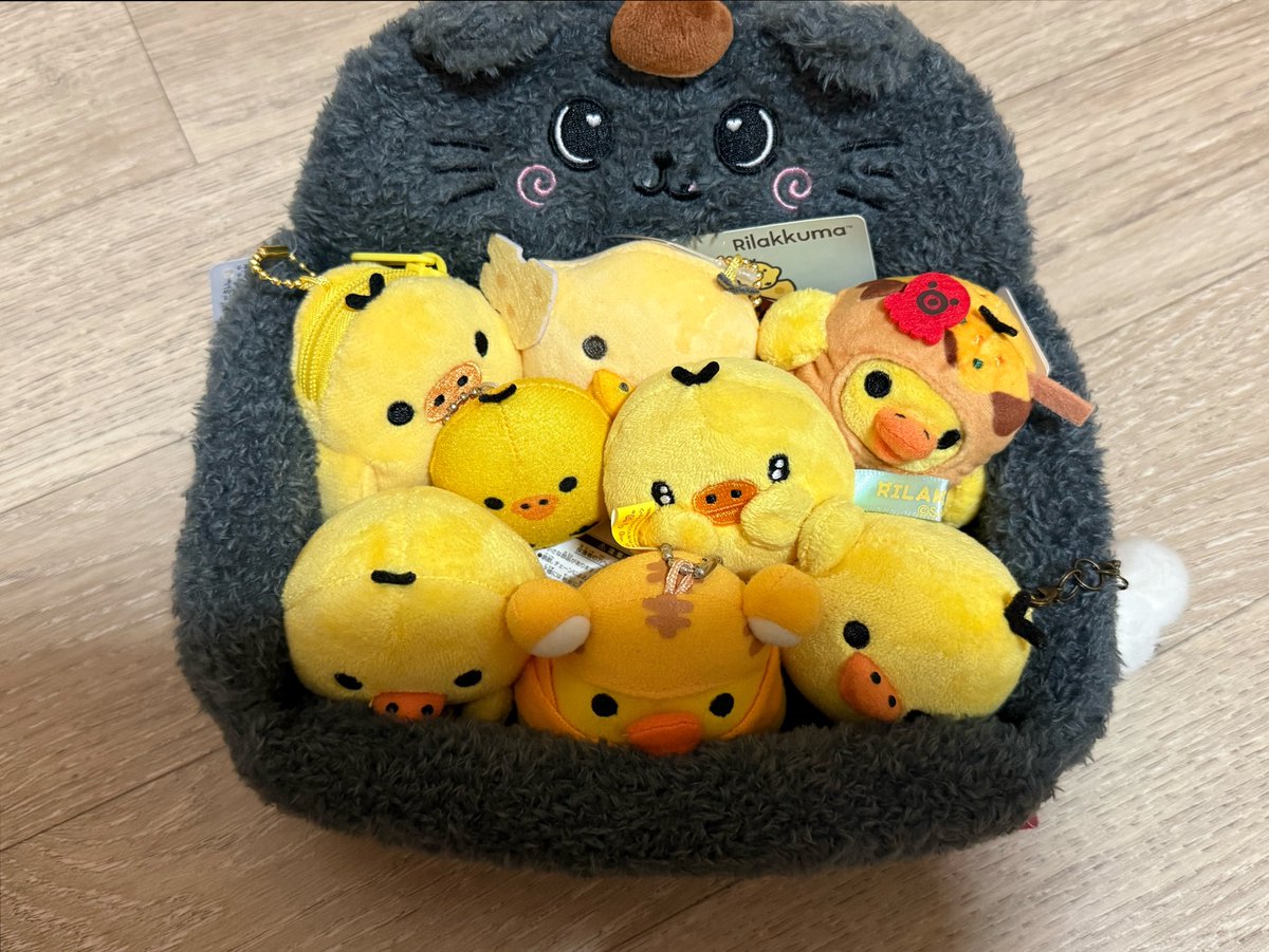 🐈‍⬛ tweet media