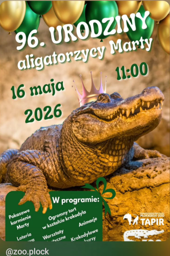 Michalina_Kobla's tweet photo. PILNE https://t.co/L6UY36SuGJ