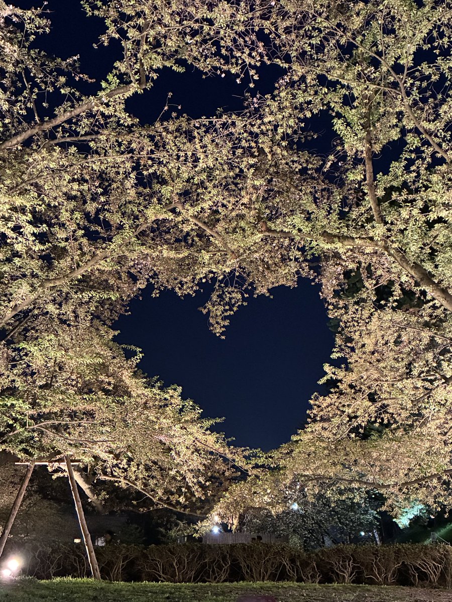 Ｔono( ´ ▽ ` )ﾉ tweet media