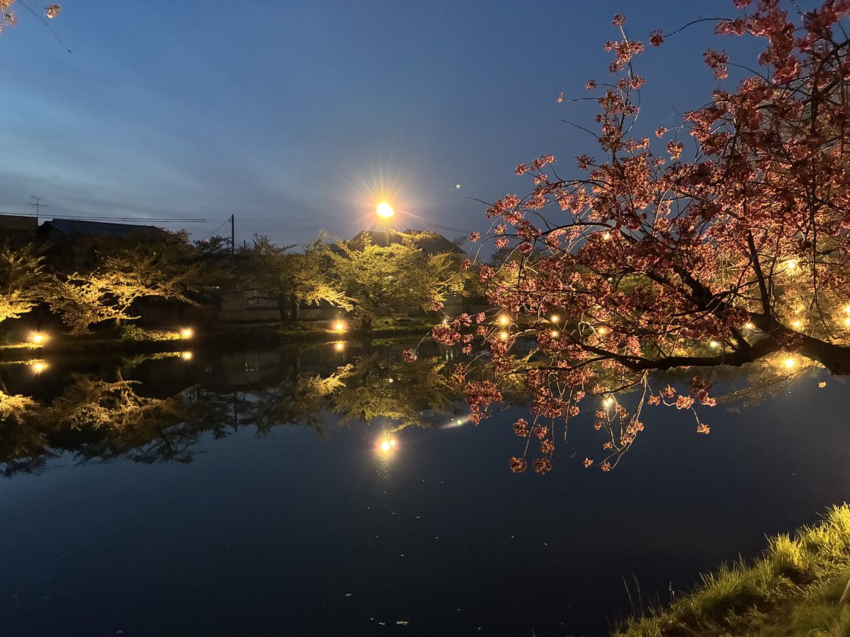 Ｔono( ´ ▽ ` )ﾉ tweet media