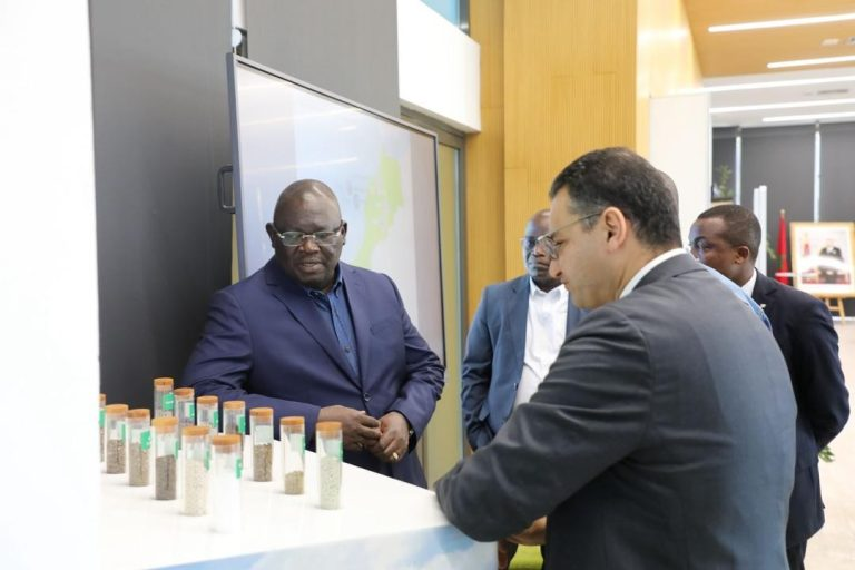 Au SIAM 2026 au Maroc, le ministre Bernard Comoé mise sur un partenariat avec l’OCP pour sécuriser l’accès aux engrais. Objectif : garantir des intrants de qualité, stables et adaptés aux producteurs ivoiriens. 🤝
#SIAM2026 #Agriculture #Engrais #OCP #SecuriteAlimentaire
