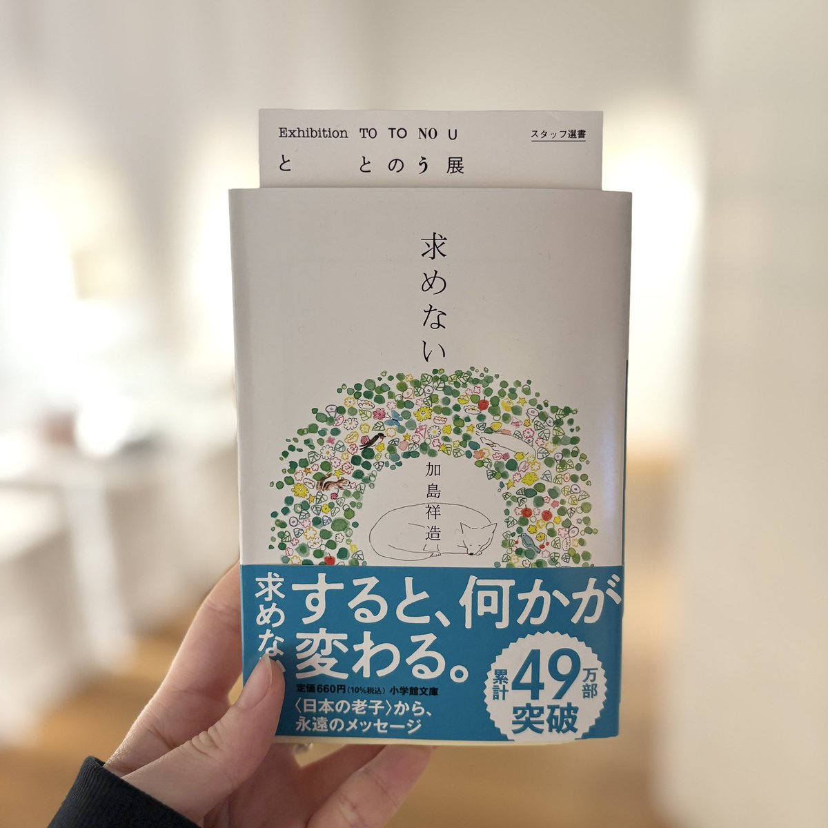 【『ととのう』展📚アトリエスタッフ選書】

人間は求める生き物である。
「求めないー」からはじまる言葉たちは、それでいて「求める」ことを否定しない。
でも「求めない」ことで新たにみえてくるものがある。気負わず力まず、ふと開いたページから自分と向き合い、いつしか心がととのう一冊。