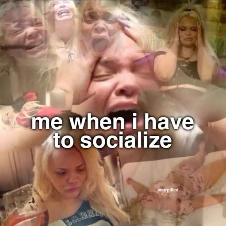 ADHD Memes tweet media