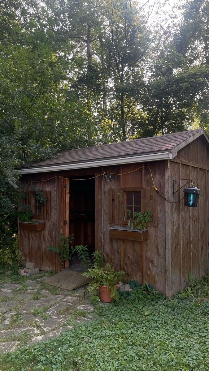 0ti0se's tweet image. ☆*:.｡.Welcome to shed twitter .｡.:*☆
#shedtwt #shed