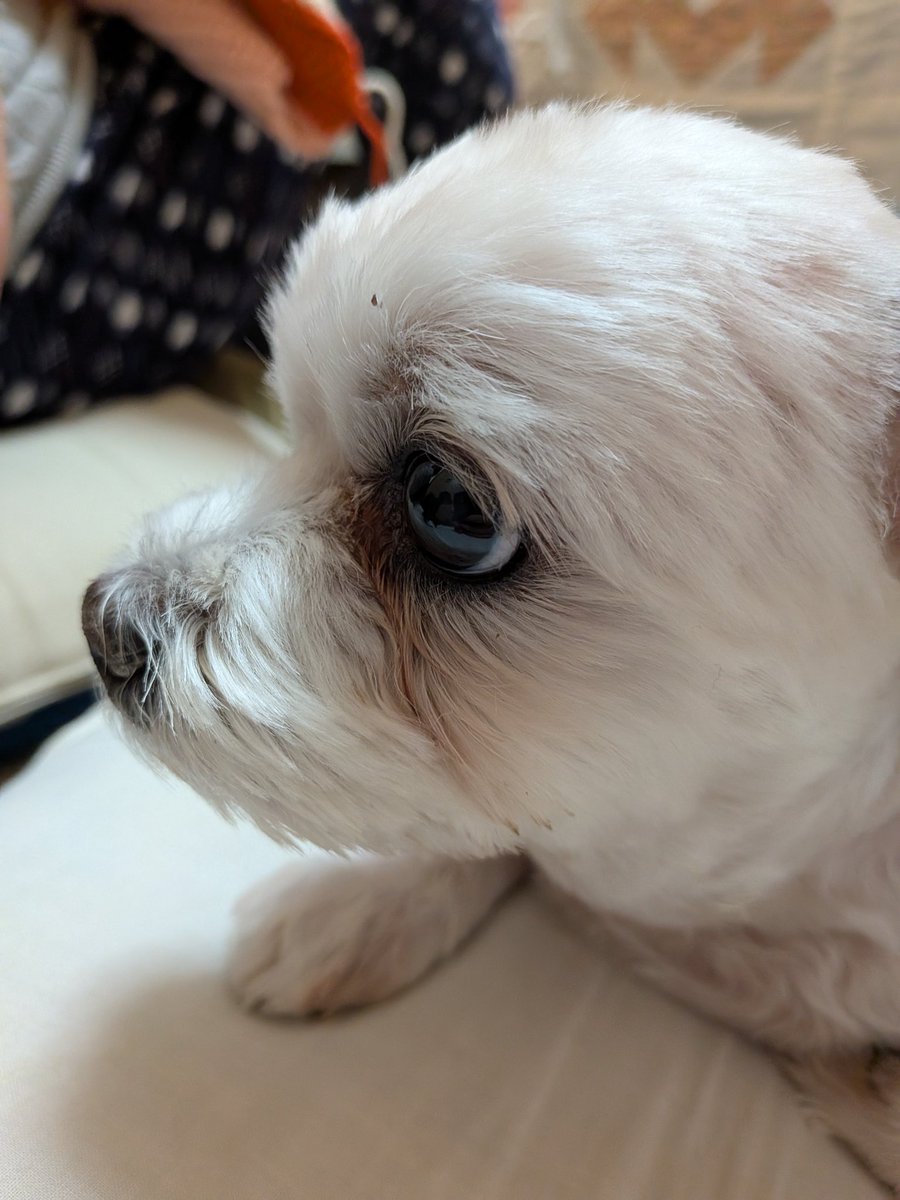 Club夜遊＠Twitch tweet media