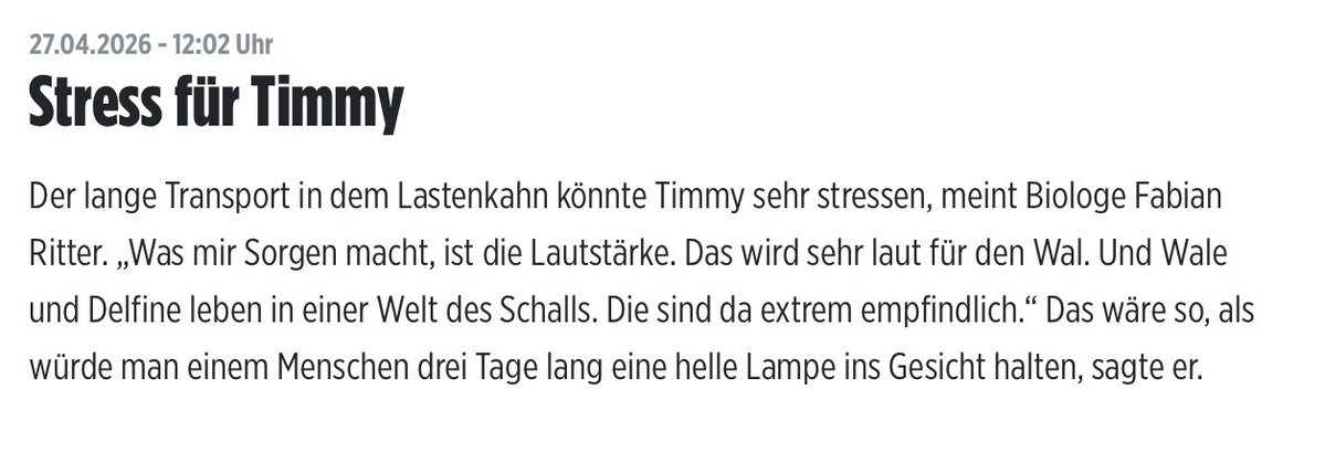 𝑀𝒾𝓈𝓈 𝐸𝓋𝑒 tweet media