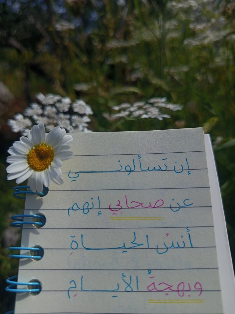 roaa_20_a's tweet photo. زُمَرًا إلهي مع صِحابي كلهم
زُمَرًا إلهي معَ الأحبابِ للجنَّاتِ 🌸🩵. https://t.co/RCDV6sQWdX