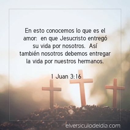 elversiculo's tweet image. En esto conocemos lo que es el amor:  en que Jesucristo entregó su vida por nosotros.  Así también nosotros debemos entregar la vida por nuestros hermanos.  1 Juan 3:16   #versiculodeldia #versiculobiblico #biblia
