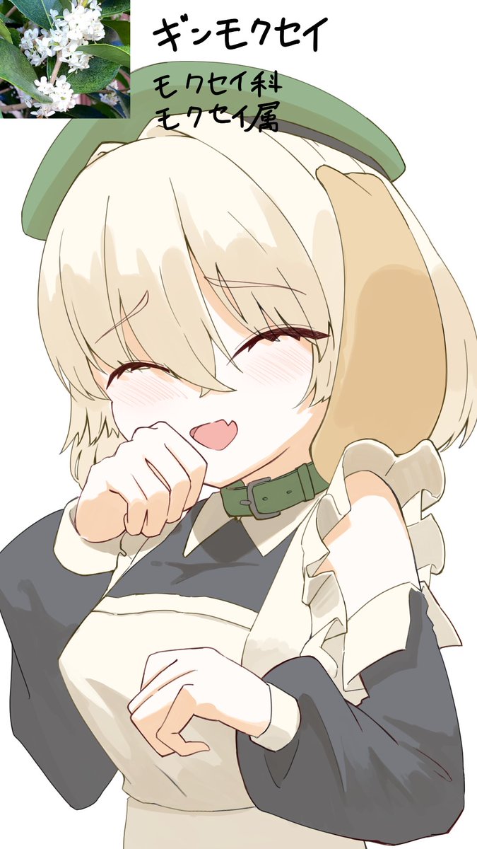 ギンモクセイ
#365日植物キャラデザ