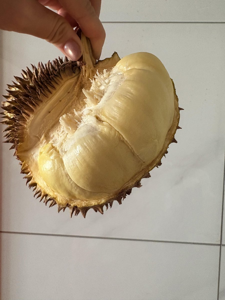 itsloopy tweet media