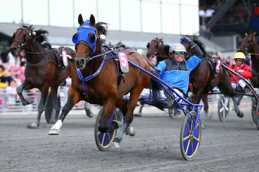 equidia's tweet photo. 🎂 Timoko fête ses 19 ans ce lundi 27 avril

Véritable globe-trotteur, le champion de @RichardWesteri1 a remporté 15 Groupes I dont :

🇸🇪 l'Elitlopp (2014, 2017)

🇫🇷 le Prix de France (2015)

4⃣ Grand Critérium de Vitesse de la Côte d'Azur (2013, 2015, 2016, 2017) https://t.co/qlN3VwdwnI