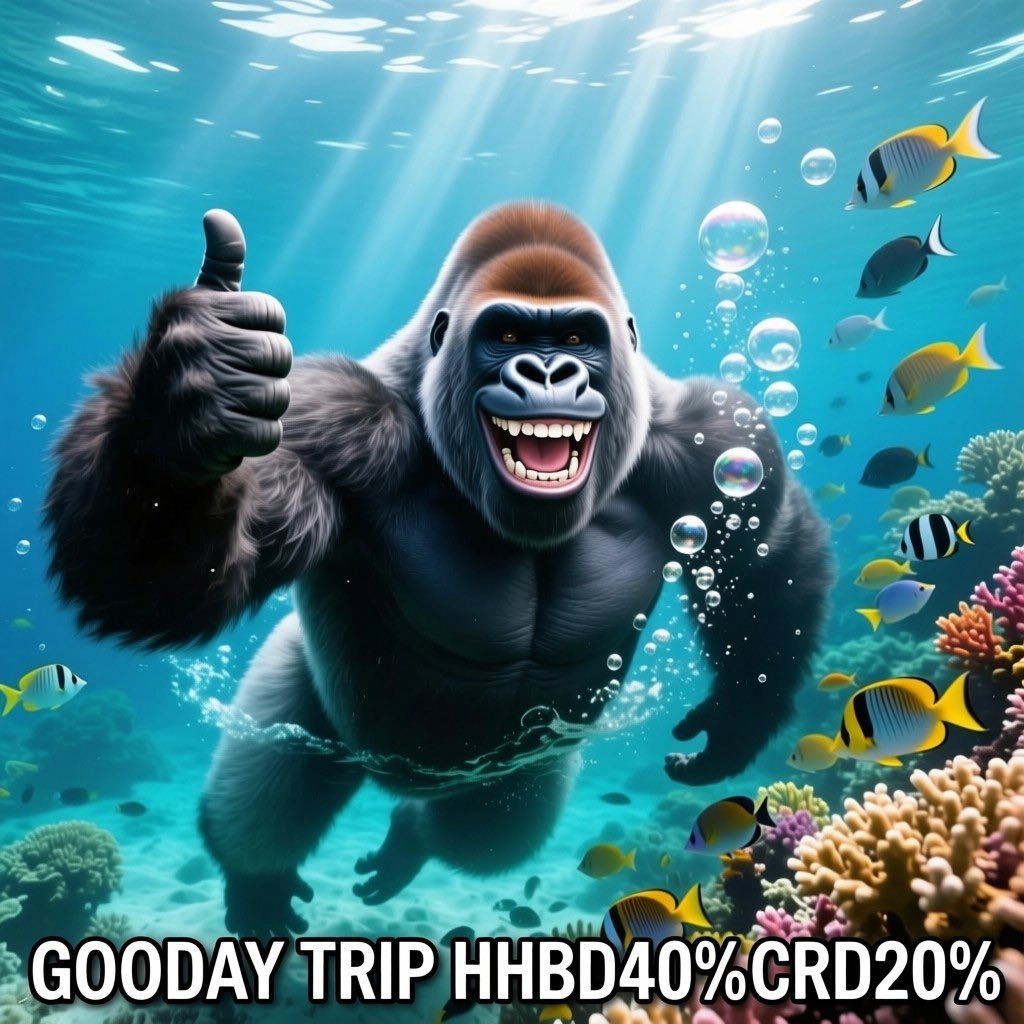 👍GOODDAY TRIP🌈 tweet media