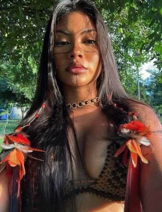 Native American Pride tweet media