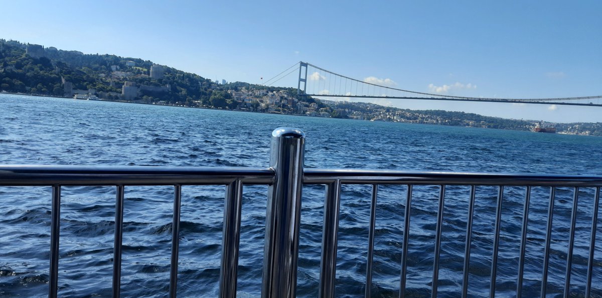 7th year: rena tweet media