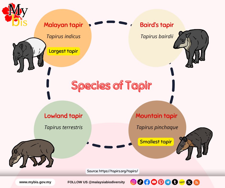 🇲🇾 Malaysia Biodiversity tweet media