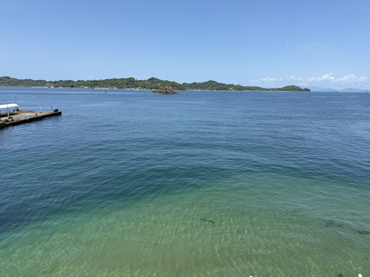 𝔅𝔢́𝔩𝔞𝔡𝔬𝔫𝔫𝔞(ﾍﾞﾗ) tweet media