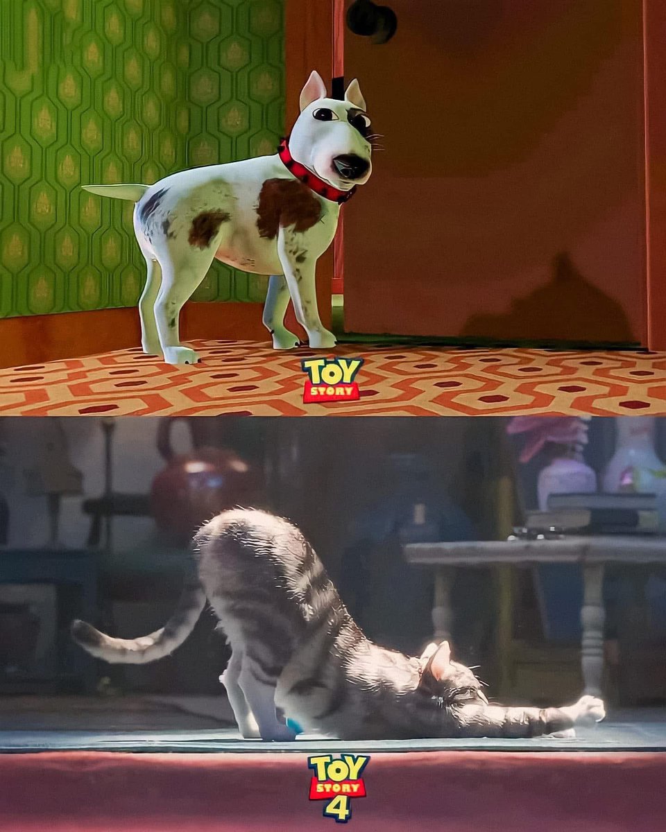 PmAmTraveller tweet media