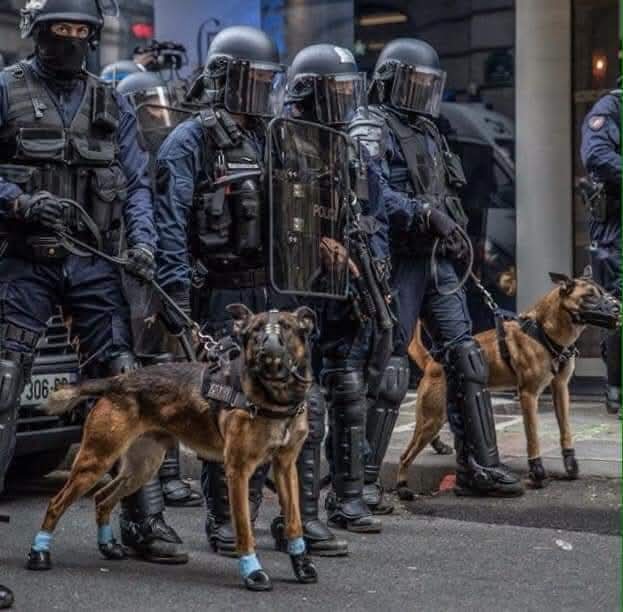 FRANCE : 27 avril 2019 .