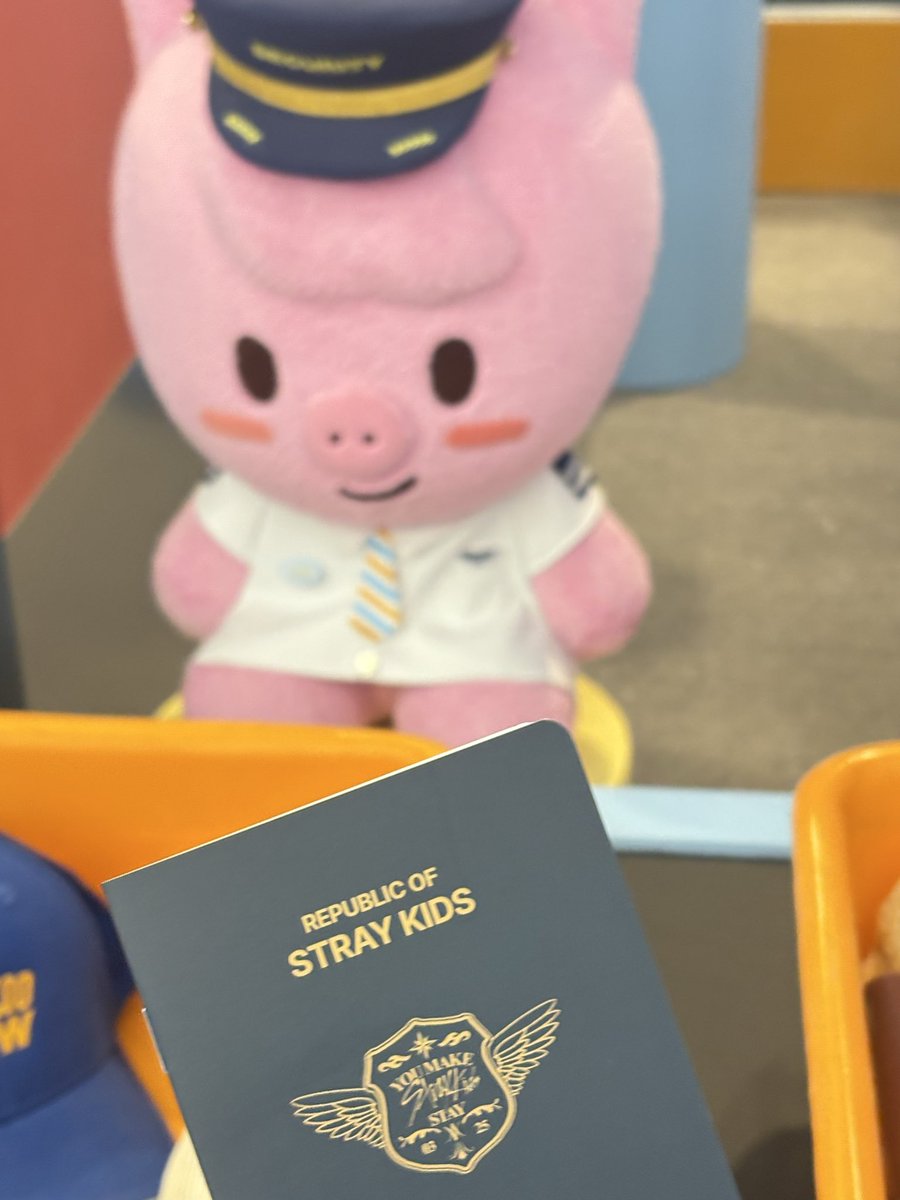 bella_16628's tweet photo. #Everywhere_with_SKZOO #FANS_SHOP #팬즈샵 https://t.co/9vdFZ3E3FJ