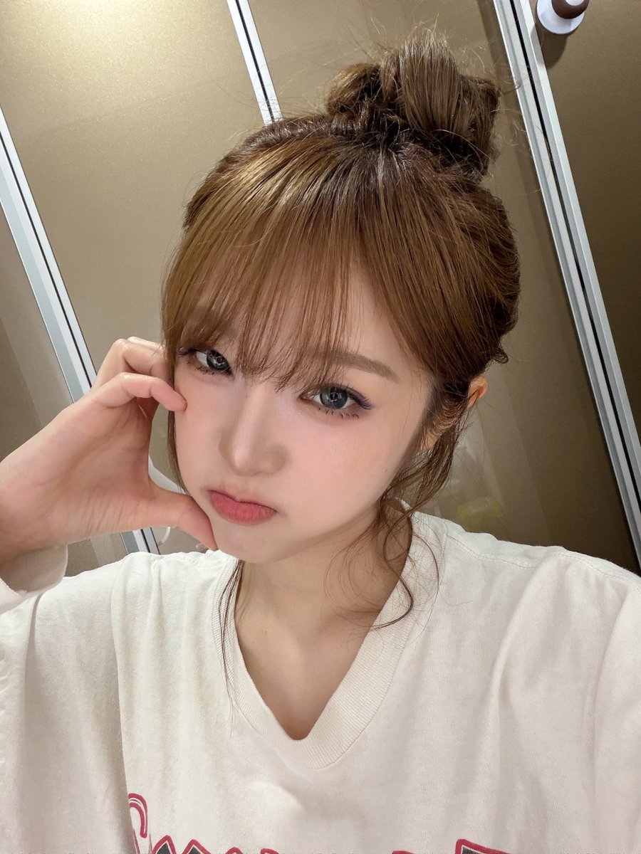 뽀삐 tweet media