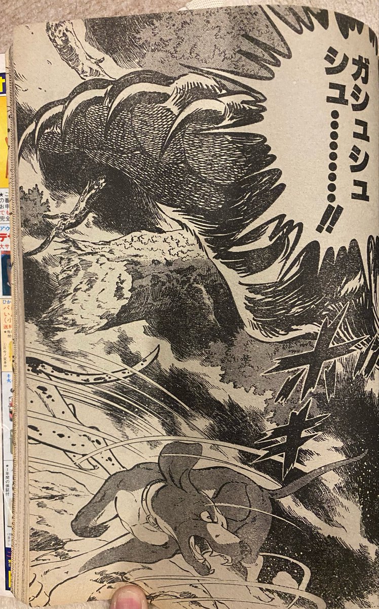 ガシュシュ シュ・・・・・・・・・‼︎ ボオオーーッ ＃銀牙