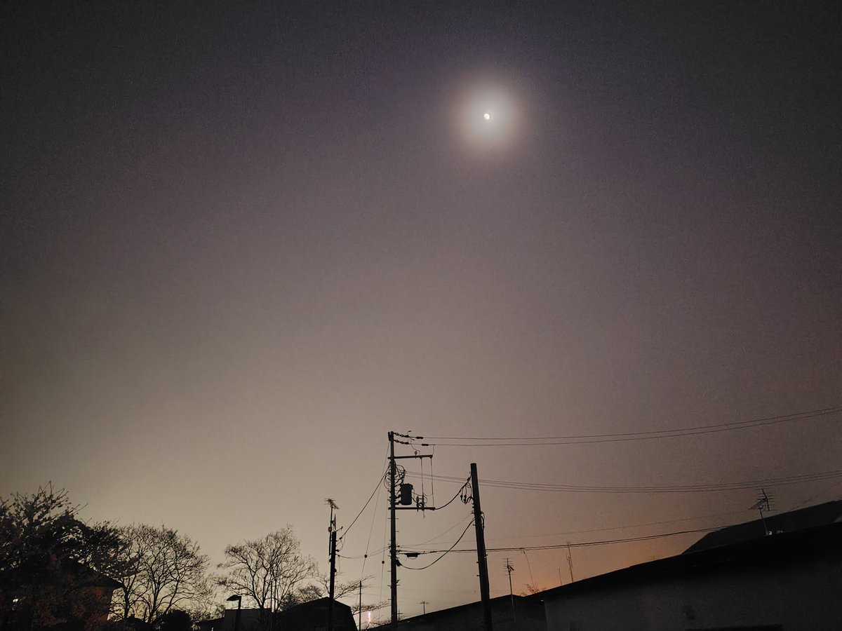 お兄ちゃん【旧式】 tweet media