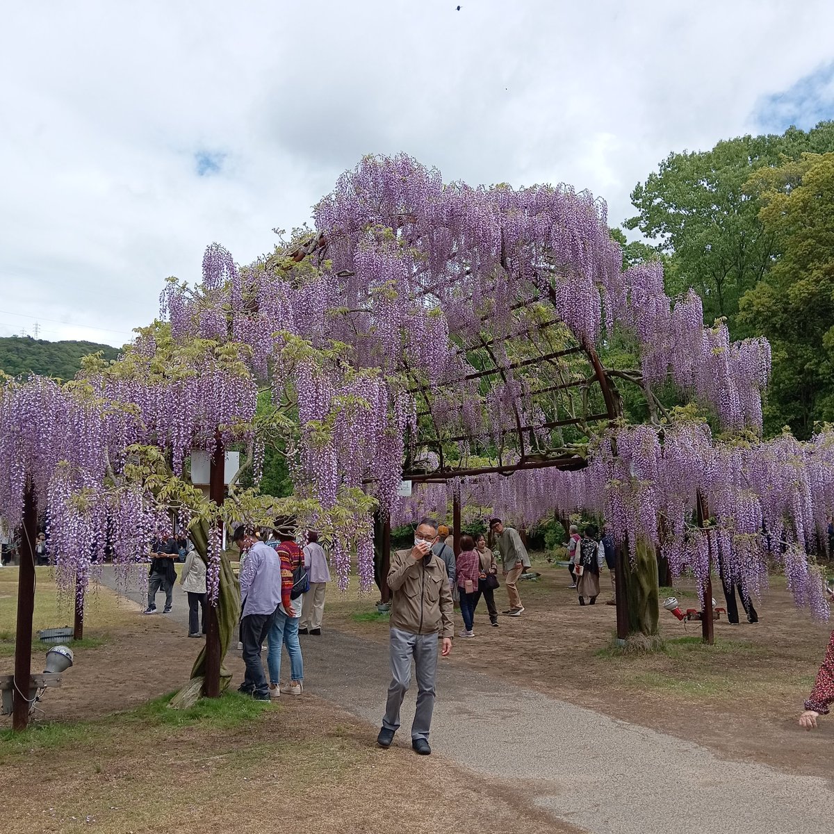 Issei Fujii tweet media