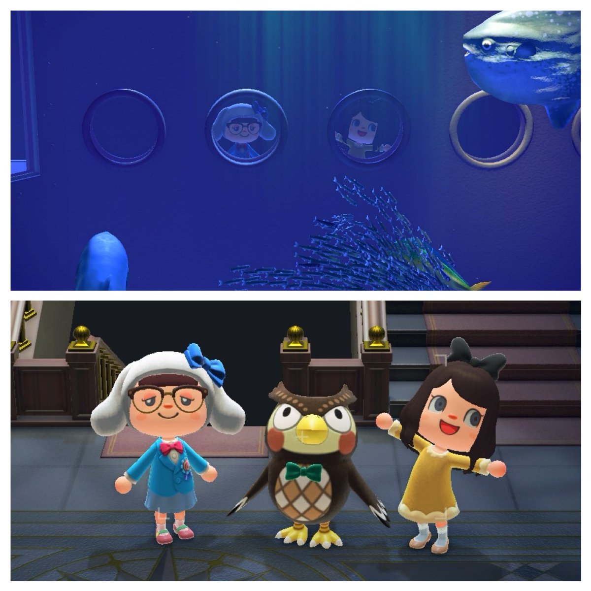 ぽっと tweet media